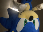 Sonic execution information club