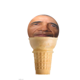 Slide into obama
