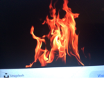 Really Fire Lions