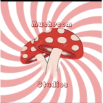 Mushroom studioss
