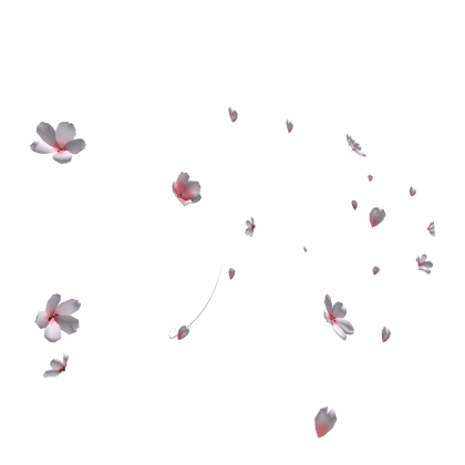 Sakura Aura