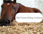 . * VRM Horse Riding Academy !!