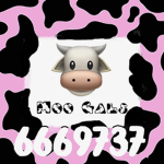 Moo Gals