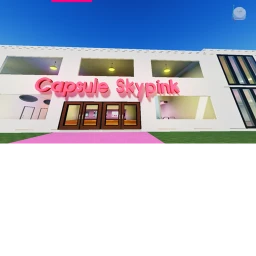 Capsule Skypink  icon