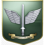 [~]Singapore Commandos Formation