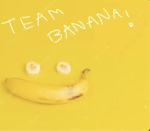 Team BananaZ!