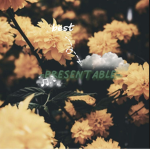 - presentable -