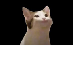 Pop CAT INVASION