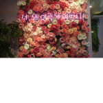쩬아 들어와서 로벅받아
