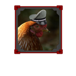 The Chicken Republic