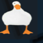 DUCKS UNITED ducks best