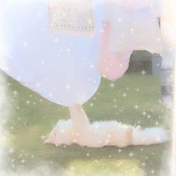 ♡