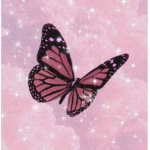 Butterfly shimer