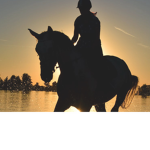 I love my horse!
