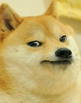 dog sigma