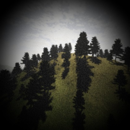 The Night in the Haunted Forest