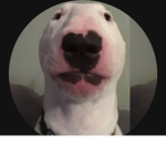 LLLLLLLLLLLLLLL