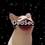 〤DedSec