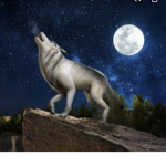 BlueStar gaming fan group!