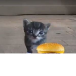 Tappytappy