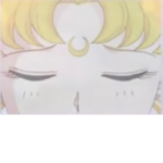 Sailor moon and other Sailor guardians