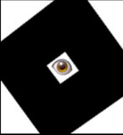 Secret Societies Of Roblox