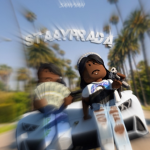 - $ StaayPrada