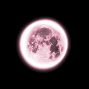 ≽^• ˕ • ྀི≼