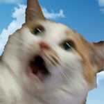 PogGroupTM