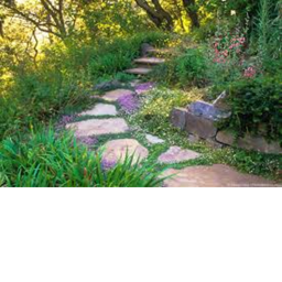 [GARDEN] vibe
