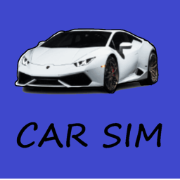 MJ Car Sim