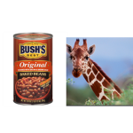 Baked beans and Giraffes