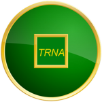 The Robloxian National Army TRNA