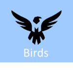 Birds ®