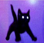 Devnighcats Studios