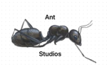 Ants Studios