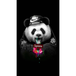 Cassette BeAr