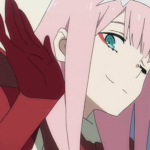 Setellas xd