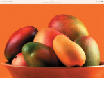 JOIN MANGOS