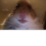 123asd4fhehf
