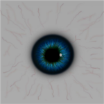 The Eye Ball Society