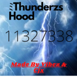 Thunderzs Hood