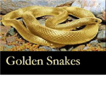 The Golden Snakes