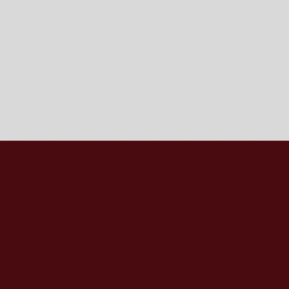 Woуsko Xięstwa Warszawskiego Roblox group icon