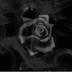 Demoni Rosa