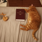 Christian Ask