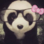 miao ୨୧