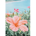 Summervibes1