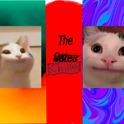 The Chilleo