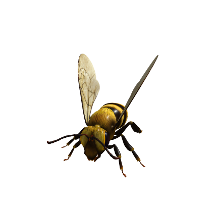 Microsoft Bee Flying (Rigged)
